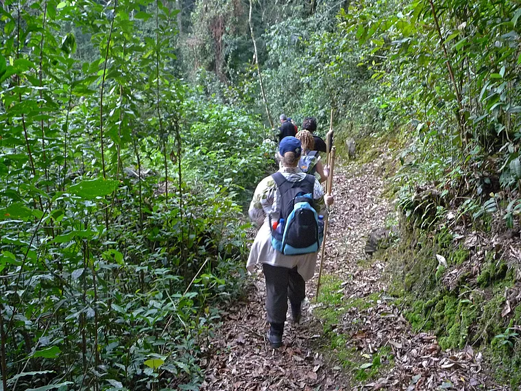 Ruanda Nyungwe National Park Wandergruppe