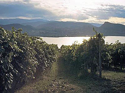 British Columbia Okanagan Weinbau