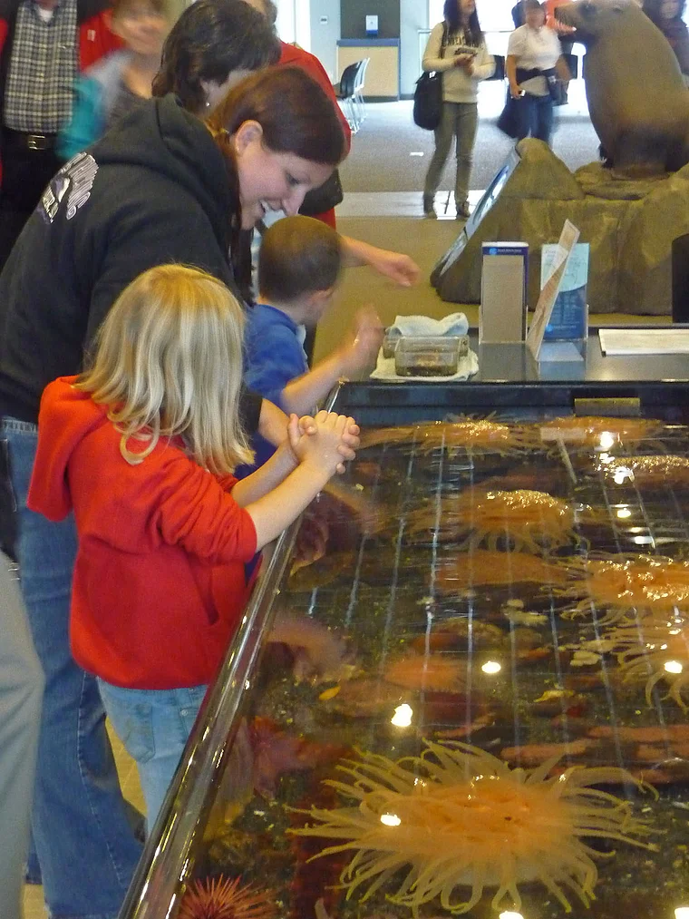 Alaska Seward Sealife Center innen