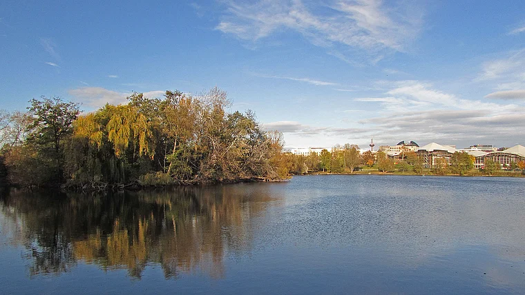 Frankfurt Rebstockweiher