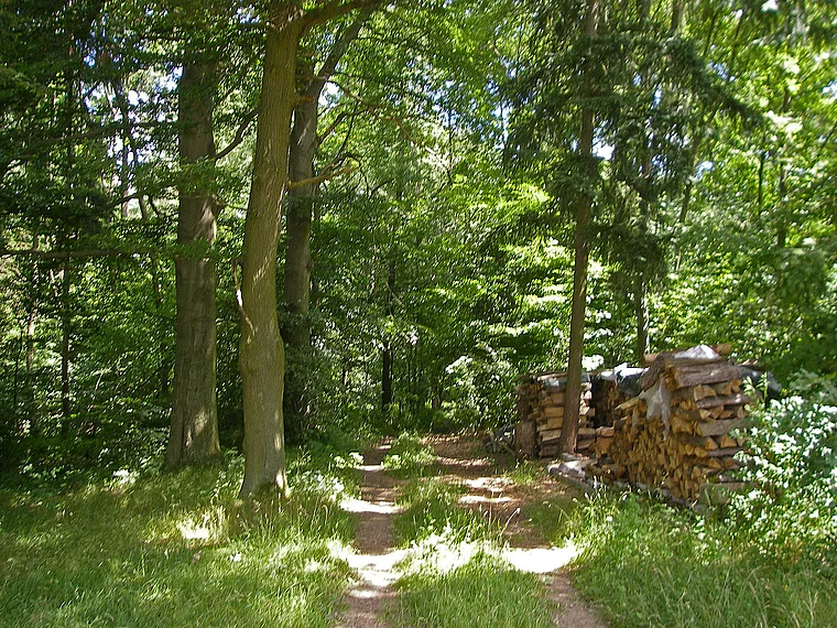 Hunsrück Beulich Grieswald