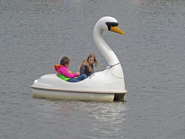 Münster Aasee Schwanentretboot