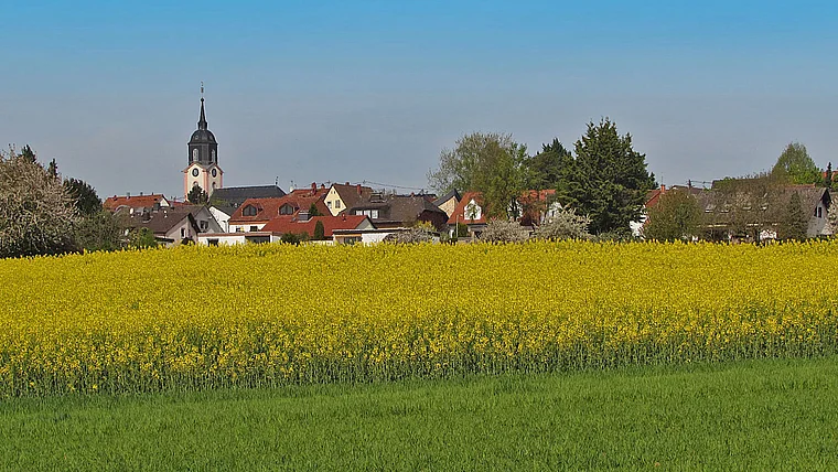 Hofheim Diedenbergen von fern