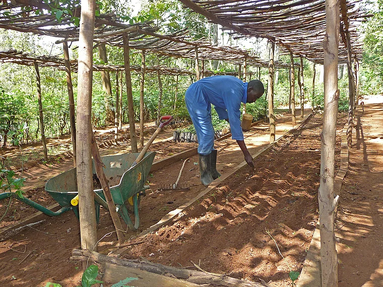 Ruanda Agroforst Projekt Arbeiter