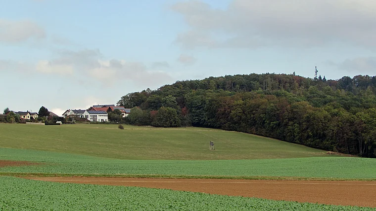 Korbach Goldhausen von fern