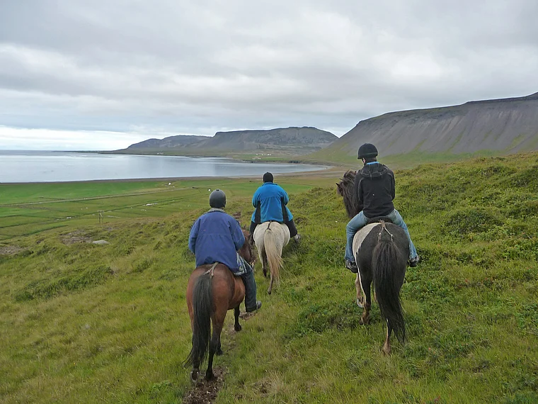 Island Grundarfjördur Reitausflug