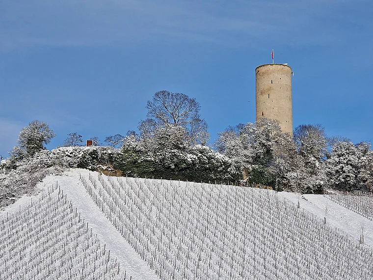 Kiedrich Burg Scharfenstein Winter
