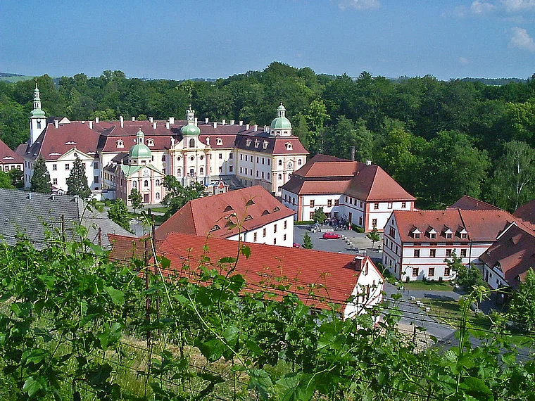Ostritz Kloster St. Marienthal Totale mit Weinberg Sommer