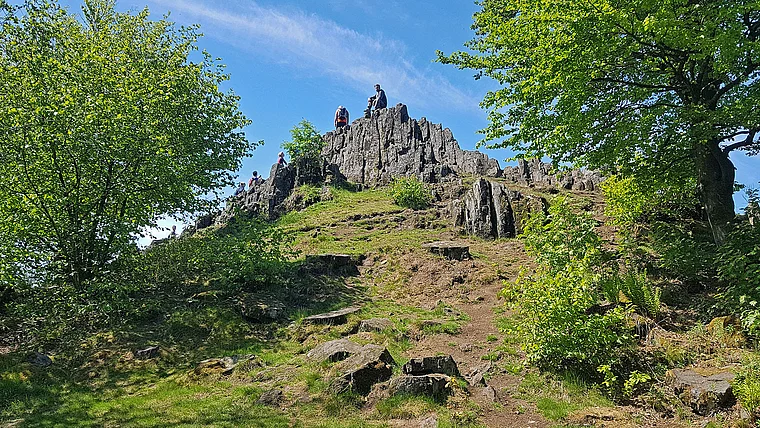 Schotten Bilstein Frühling