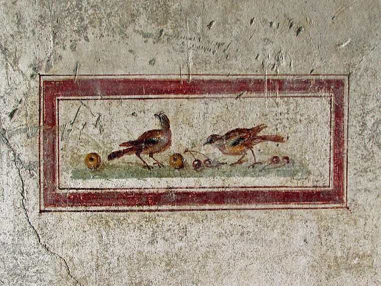 Pompeji Wandmalerei mit Vögeln